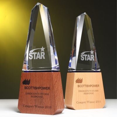 Trophées en résine personnalisés Trophée de combinaison de cristal et de bois massif