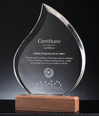 Trophées en résine personnalisés à base de bois Trophée en cristal personnalisé